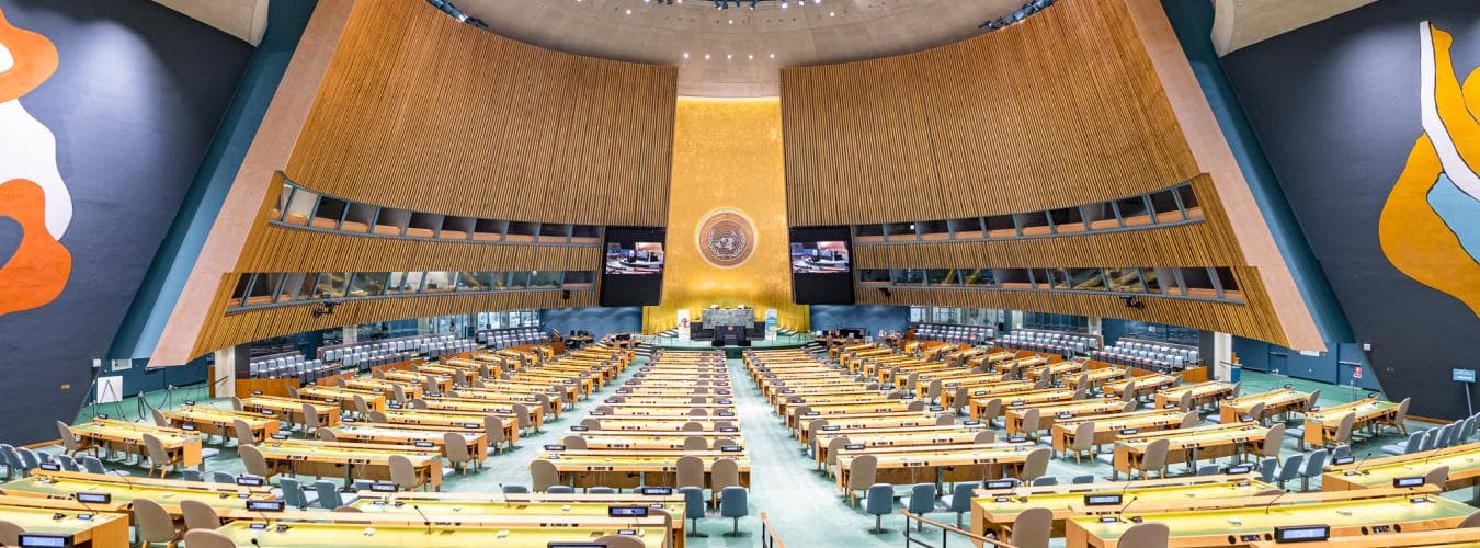 UN General Assembly