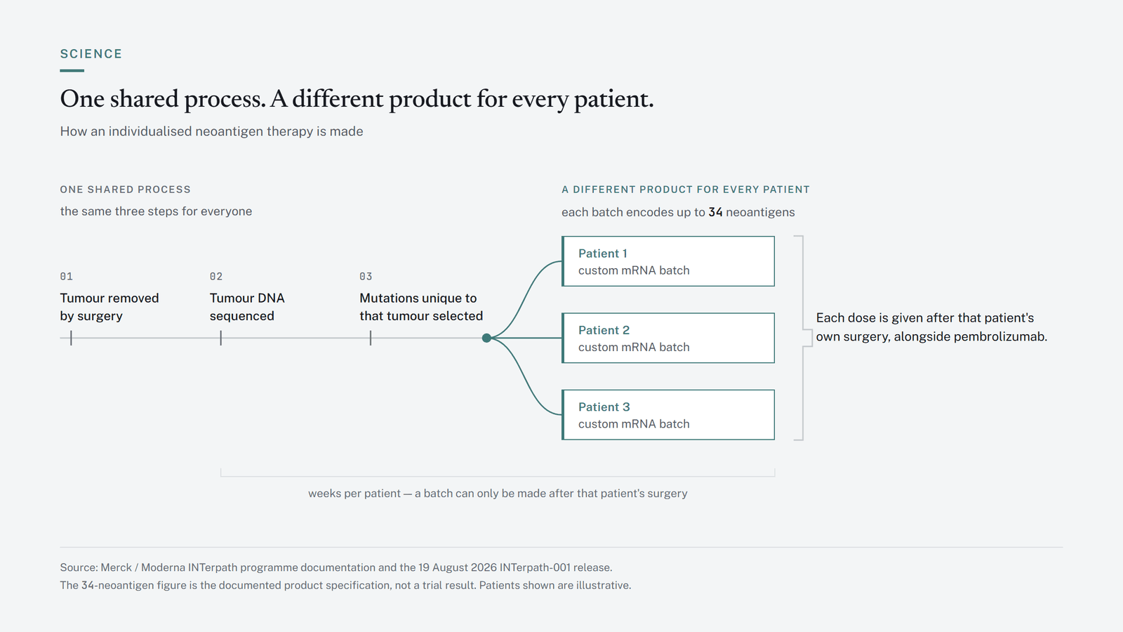 Diagram of a four-stage process: a surgically removed tumour is genetically sequenced, mutations unique to it are selected, a custom mRNA batch encoding up to 34 neoantigens is manufactured for that one patient, and the therapy is given after surgery.